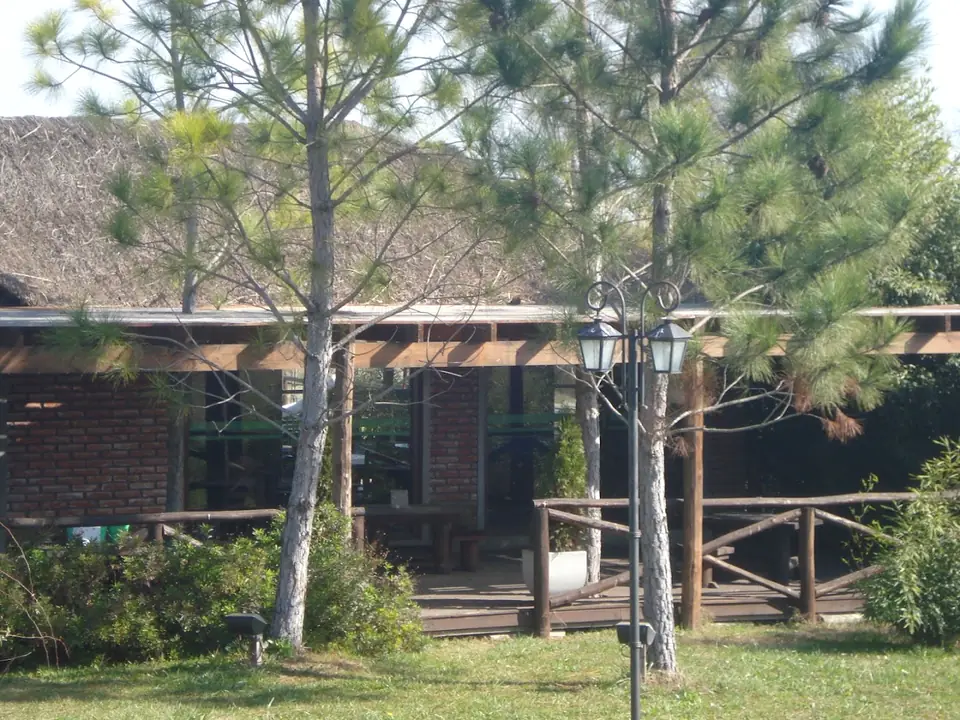 La arboleda de pinos.