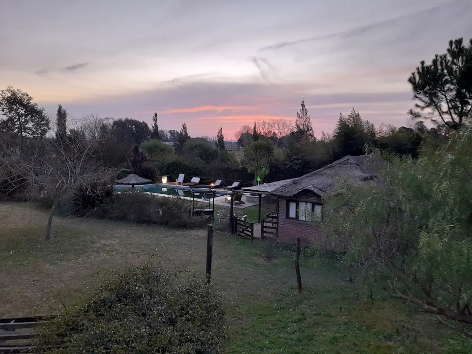 Atardecer rosado sobre las casas y el parque.