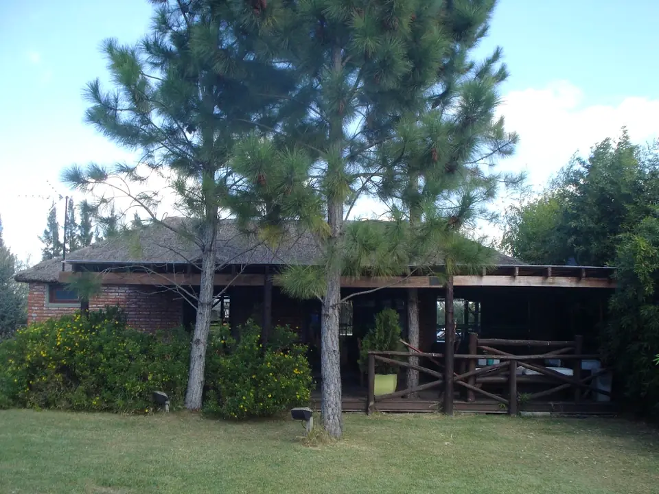 Una casa entre los pinos.