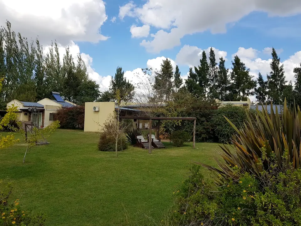 Las casas entre los árboles.